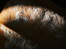 Что будет, если случайно съесть хлеб с плесенью