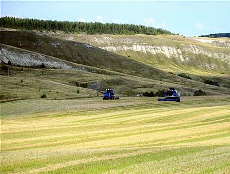 В Шигонском районе вводят в оборот новые сельхозугодья и благоустраивают села
