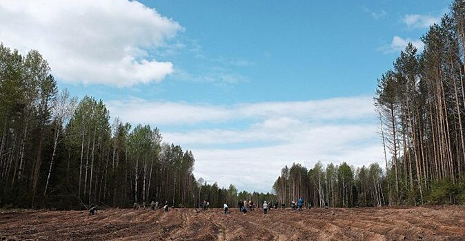 В Кировской области рекультивируют 7 городских свалок