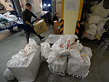 Пользователи сети пожаловались на массовую задержку посылок «Почтой России»
