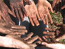 Болезни, которые можно получить от немытых рук