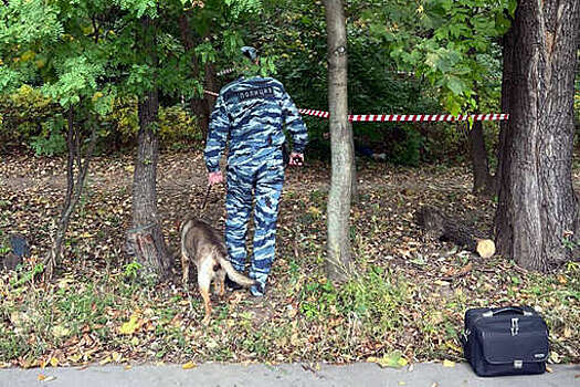 Подозреваемый в убийстве чиновницы Роспотребнадзора задержан в Москве