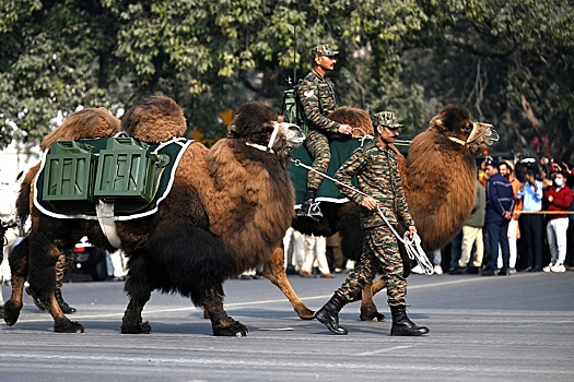 Военный парад в Индии проходит с национальной изюминкой