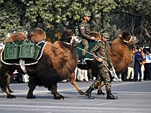 Военный парад в Индии проходит с национальной изюминкой