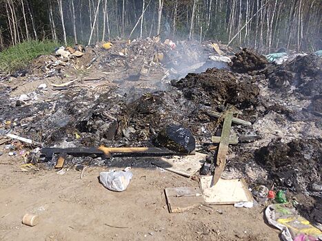 Сливают прямо в болото: экологи пресекли незаконный сброс нечистот близ Нижнего Новгорода
