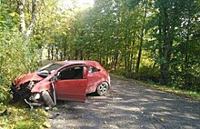 В Гурьевском районе в ДТП пострадали водитель и пассажир