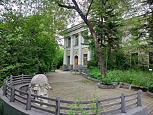 Скорость мобильного интернета выросла на территории Забайкальского краеведческого музея