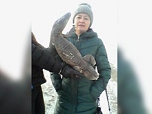В Башкирии водитель обнаружил на трассе крокодила