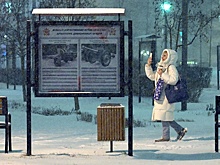 За сутки в столице выпало до 15 мм осадков, снег продолжится до конца суток