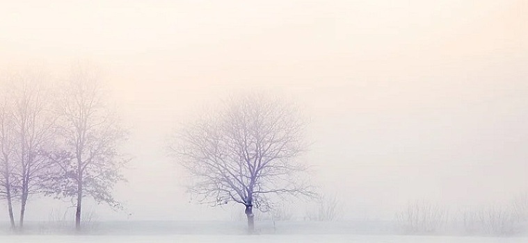 Сугробы по колено: на севере Ростовской области выпал снег