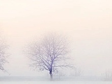 Сугробы по колено: на севере Ростовской области выпал снег