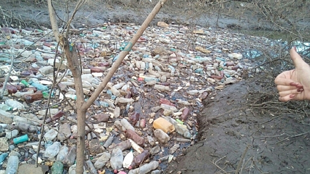 На Алтае создают проект по реабилитации реки Пивоварки, чтобы избежать мусорных заторов