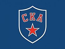 Точицкий - новый генеральный директор ХК СКА