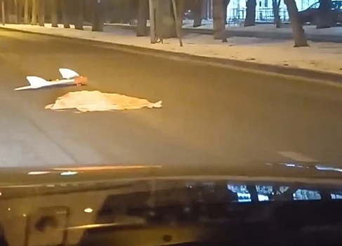 Беспилотник упал на дорогу в российском городе