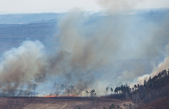 В Бурятии уменьшилась площадь лесных пожаров