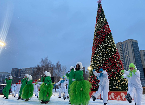 Новый каток открыли в Бугаков-парке Новосибирска