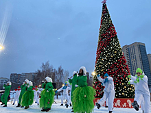 Новый каток открыли в Бугаков-парке Новосибирска