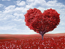 Премьера мюзикла «День влюбленных» состоится в сентябре