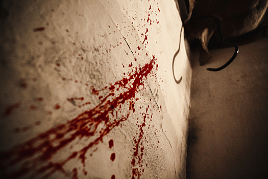 Рецидивист попался на убийстве в Туле спустя несколько дней после выхода из колонии