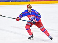 Российские звёзды в чемпионате Беларуси: Анисин, Кокарев, Жердев, Желдаков, Михнов, статистика в нынешнем сезоне
