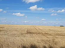 В каких регионах РФ аграрии чаще всего получают страховые выплаты