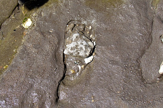 Обнаружены следы человека возрастом 300 000 лет