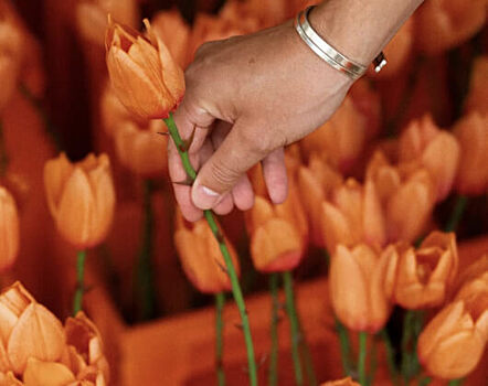 Nike превратил национальный символ Нидерландов в оружие для женской сборной