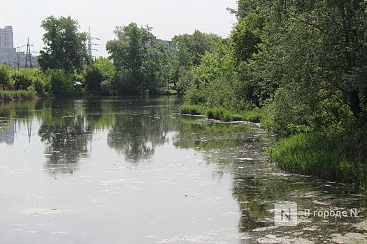 Создание экотропы «Тайны реки Левинки» началось в Нижнем Новгороде
