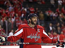 Овечкин выложил видео с прогулки с собакой. Россиянин должен находиться на карантине