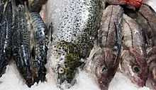 Россиян предупредили о росте цен на рыбу