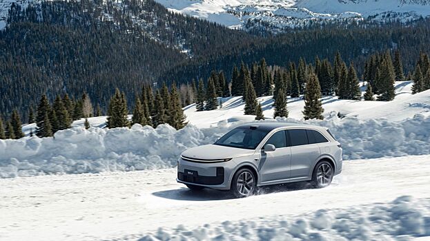 Кроссоверы Lixiang оказались неспособны перенести русскую зиму