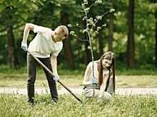 Закон о трудовом воспитании на Кубани вступает в силу с января 2025 года