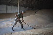 Польша заявила о недостаточности продления эмбарго на зерно с Украины