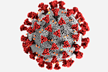 Найден способ предотвратить осложнения от COVID-19