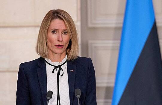 Премьер Эстонии призвала Запад конфисковать российские активы до выборов в США