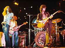 Новый вид лягушек назвали в честь Led Zeppelin