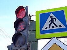 Светофоры с тиками поставят в Костроме детишкам на радость