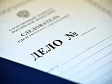В Тольятти смошенничали при получении пособий по рождению ребенка