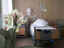 СК начал проверку по факту отравления учащихся школы в Клину