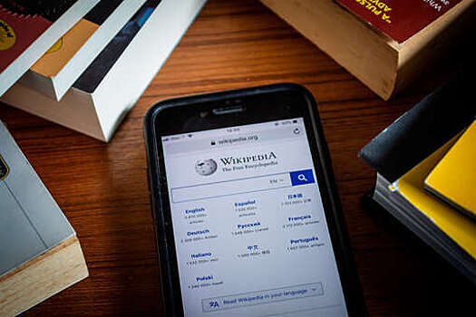 Глава СПЧ Фадеев: "Википедию" надо закрыть, но необходимо создать российский аналог