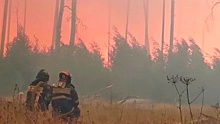 «В огненной каше не видно, куда бежать»: пожарные чудом вырвались из горящего заповедника в Мордовии