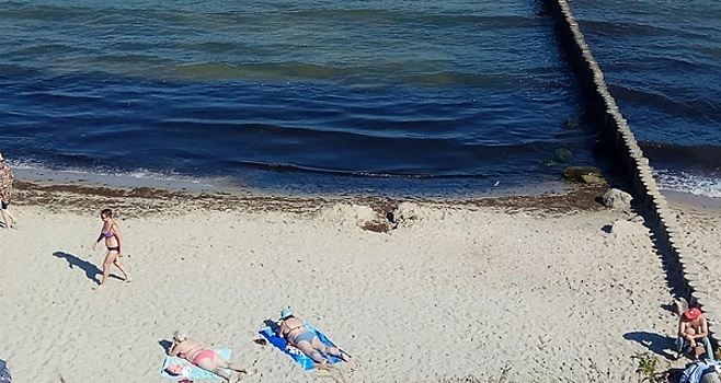 В калининградском Роспотребнадзоре рассказали, опасны ли водоросли в Балтийском море