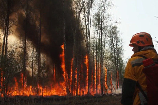 Эколог Пукалов: в этом году в зоне риска по лесным пожарам — Урал и Сибирь