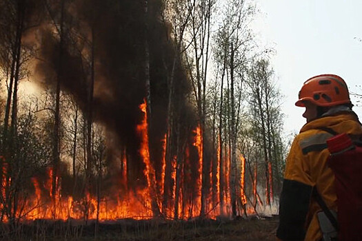 Оперштаб: неосторожное обращение с огнем привело к природным пожарам в Якутии