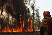 Ситуацию с лесными пожарами в Якутии удалось переломить