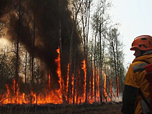 Оперштаб: неосторожное обращение с огнем привело к природным пожарам в Якутии