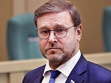 В Совфеде назвали плевком в лицо слова Польши о «так называемом освобождении»