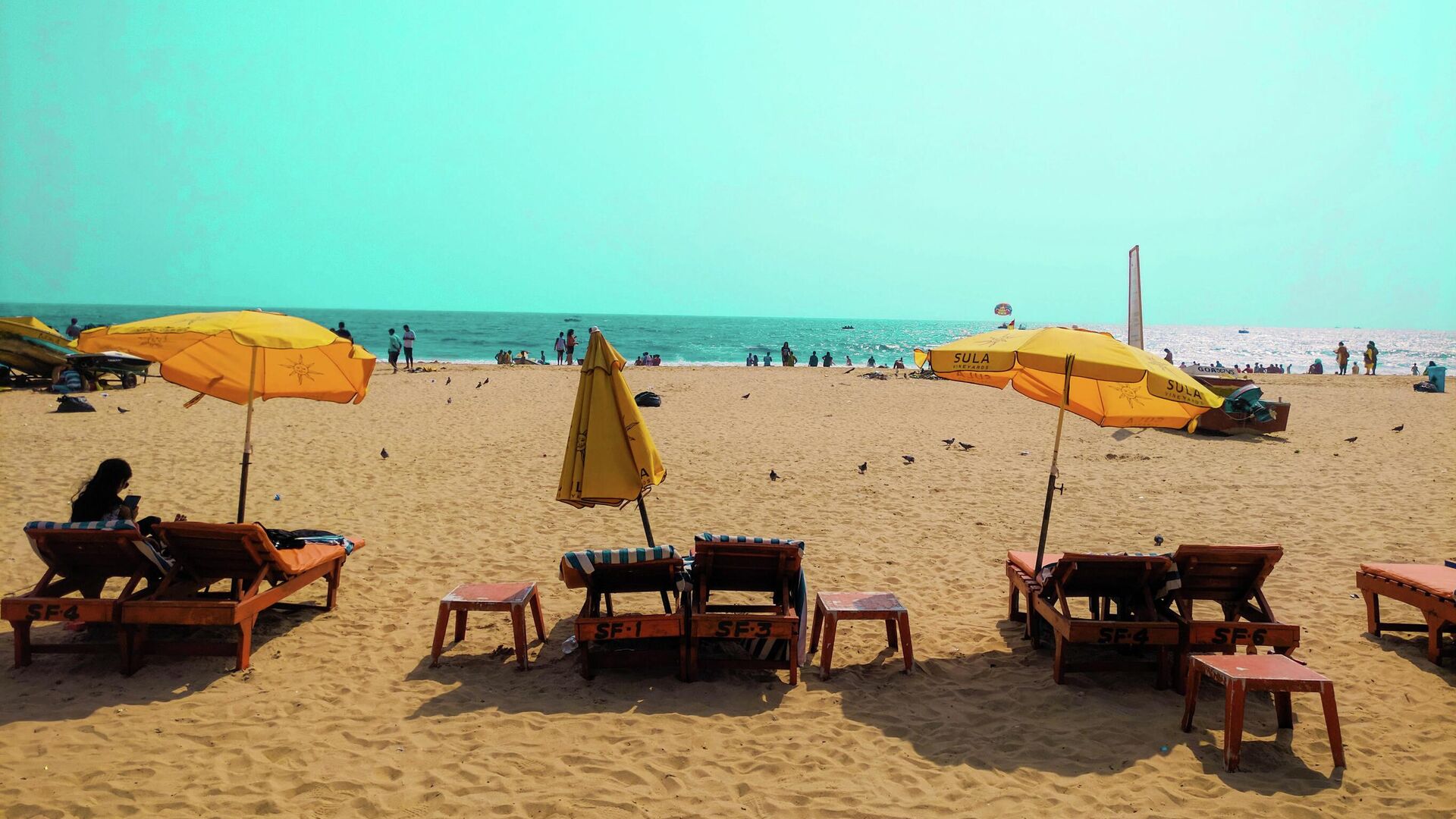 Стало известно об убийствах российского маньяка на Гоа