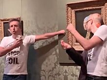 Атаковавших картину Вермеера активистов приговорили к тюремным срокам