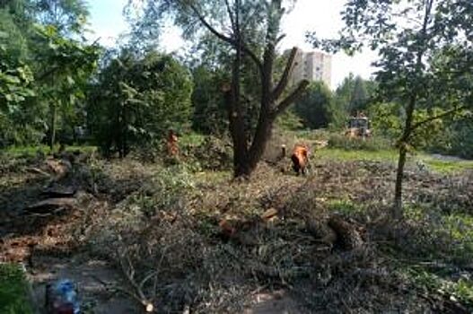 В Ярославле по второму разу реконструируют три парка